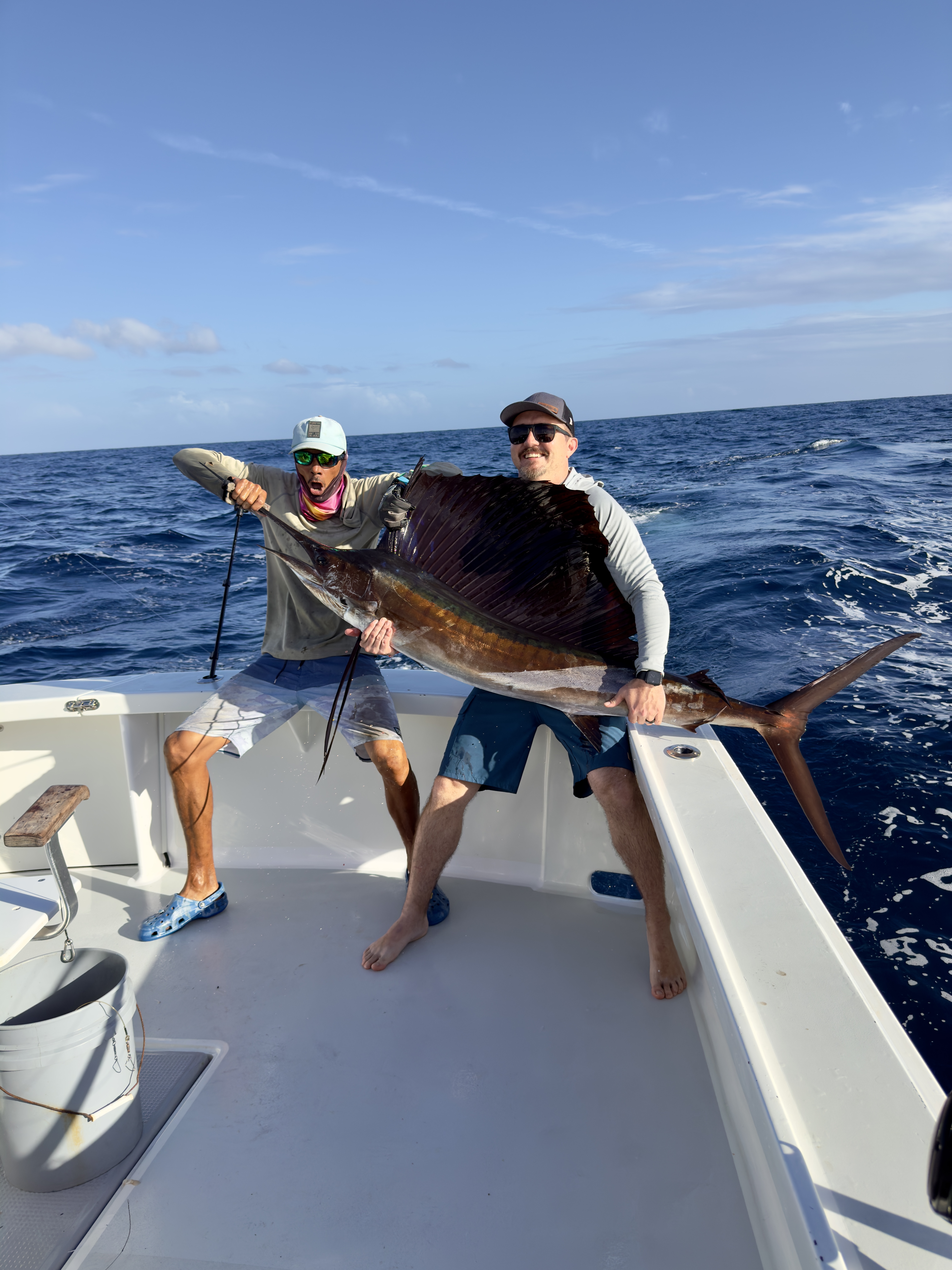 Curaçao Sailfish